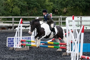 Class 2 -  Fences not above 2'